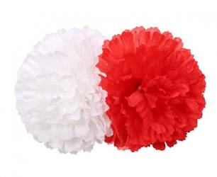 SPINKA KWIAT BIAŁO-CZERWONY GOŻDZIK