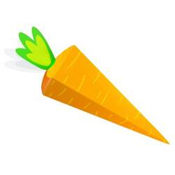 PUDEŁKA MARCHEWKI 7X27 CM 6 SZT