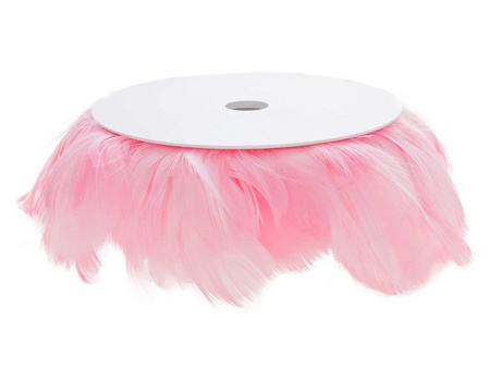 PIÓRKA NA DRUCIE RÓŻOWE 10m