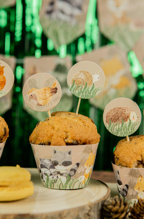 PAPILOTKI NA BABECZKI LEŚNE ZWIERZĄTKA 6 SZT