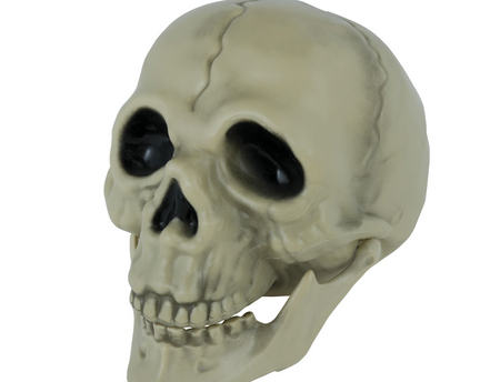 CZASZKA Z RUCHOMĄ SZCZĘKĄ 13 CM HALLOWEEN