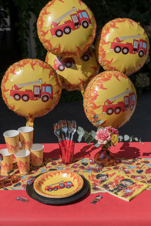 TALERZYKI PAPIEROWE STRAŻAK MAŁY 23 CM 10 SZT