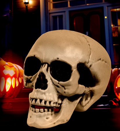 CZASZKA Z RUCHOMĄ SZCZĘKĄ 12 CM