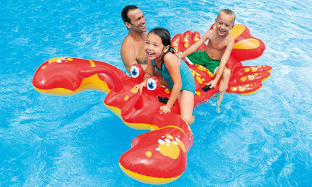 MATERAC DMUCHANY HOMAR