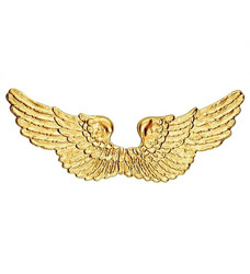 SKRZYDŁA ANIOŁA ZŁOTE