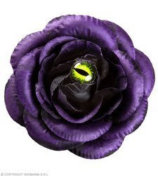 SPINKA GOTYCKA GOTYK RÓŻA OKO KOTA KOT FIOLETOWA