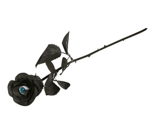 CZARNA RÓŻA Z OKIEM