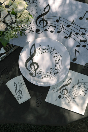 TALERZYKI PAPIEROWE NUTY BIAŁE 23 CM 10 SZT