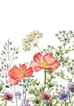 OBRUS PAPIEROWY MAKI ŁĄKA 120 X 180 CM 