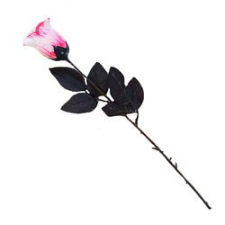 BIAŁA RÓŻA Z KRWIĄ 42 CM