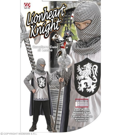 STRÓJ SREBRNY RYCERZ LWIE SERCE