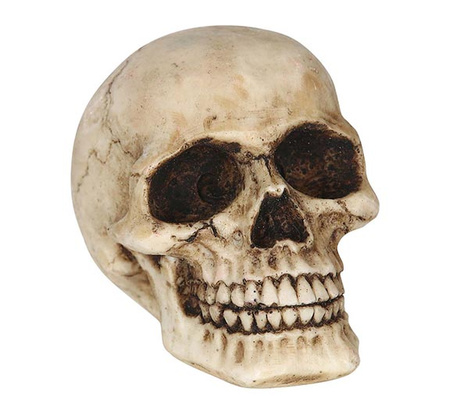 CZASZKA Z ŻYWICY 8 CM HALLOWEEN