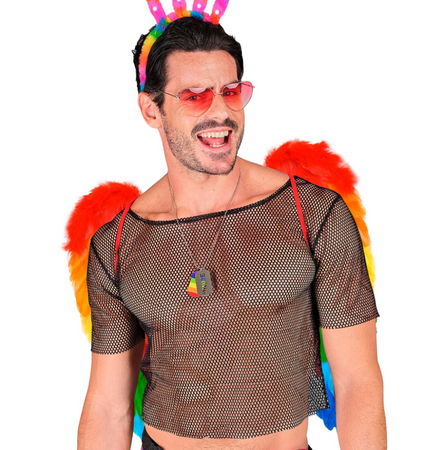 SKRZYDŁA TĘCZOWE 50 X 50 CM 