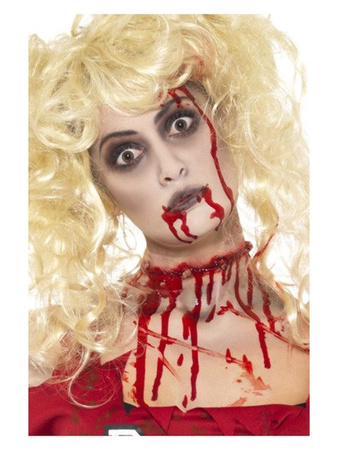 ZESTAW DO CHARAKTERYZACJI ZOMBIE