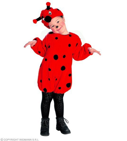 STRÓJ BIEDRONKA PLUSZOWA