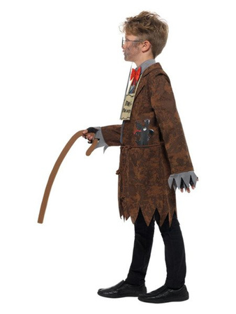 David Walliams Deluxe Mr Stink Costume, Brown