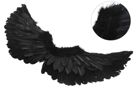 SKRZYDŁA CZARNE 60 X 25 CM
