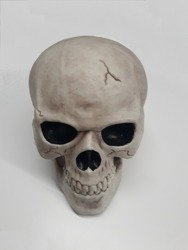 DEKORACJA CZASZKA 20cm