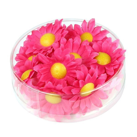 KWIATY OZDOBNE FUKSJA