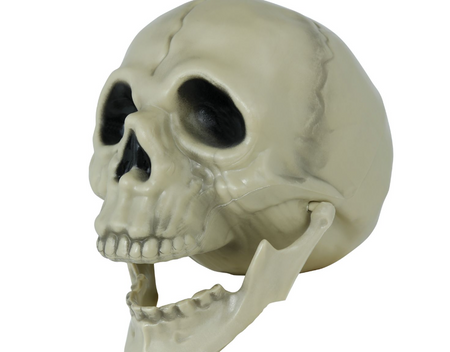 CZASZKA Z RUCHOMĄ SZCZĘKĄ 13 CM HALLOWEEN