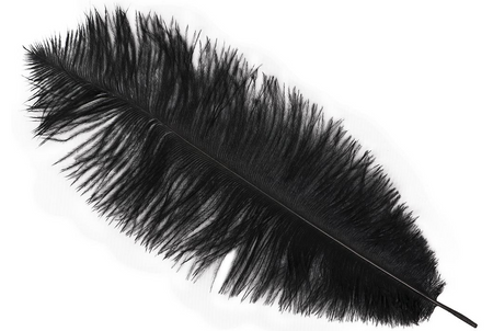 CZARNE PIÓRO DLUGOŚĆ 30 CM