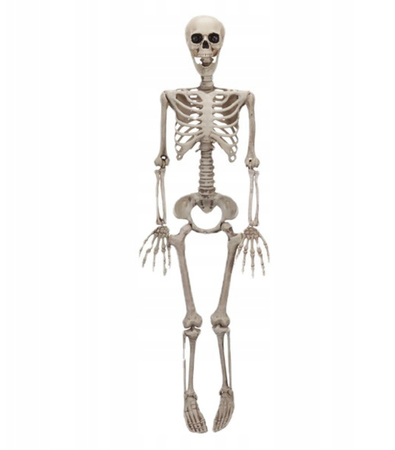 DEKORACJA SZKIELET 90 CM