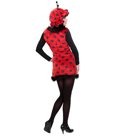 STRÓJ PANI BIEDRONKA SUKIENKA + CZAPKA