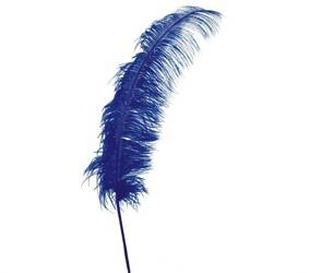 PIÓRO STRUSIA NIEBIESKIE 63 CM 1 SZT.