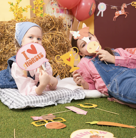 REKWIZYTY DO ZDJĘĆ KONIKI 11 SZT