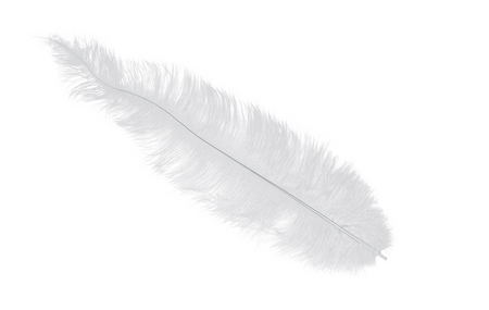 PIÓRO STRUSIE BIAŁE 40 CM 1 SZT