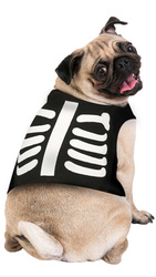 STRÓJ DLA PSA SZKIELET SIZE S