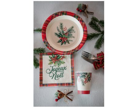 KUBECZKI PAPIEROWE ŚWIĄTECZNA KRATA 270 ML 10 SZT 