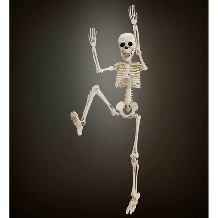 KOŚCIOTRUP WISZĄCY 50 CM