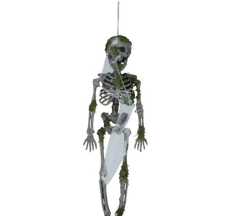 SZKIELET WISZĄCY Z MCHEM 40 CM 
