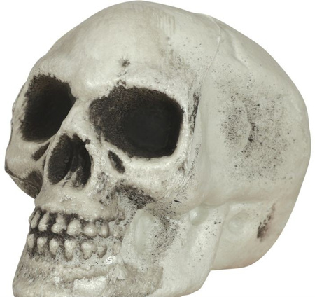 ZESTAW CZASZEK 8 CM 6 SZT