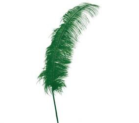 PIÓRO STRUSIA ZIELONE 63 CM 1 SZT.
