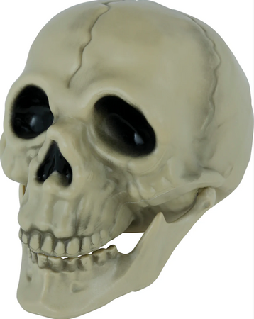 CZASZKA Z RUCHOMĄ SZCZĘKĄ 13 CM HALLOWEEN