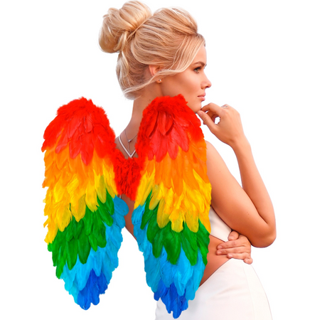 SKRZYDŁA TĘCZOWE 50 X 50 CM 