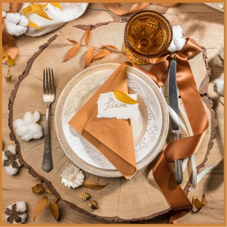 SERWETKI PAPIEROWE MUSZTARDOWE 33 X 33 CM