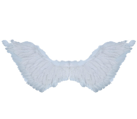 SKRZYDŁA BIAŁE 106x22 CM