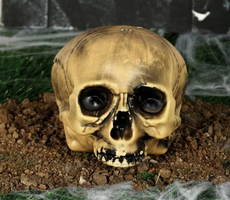 CZASZKA BEZ BRODY 20 CM