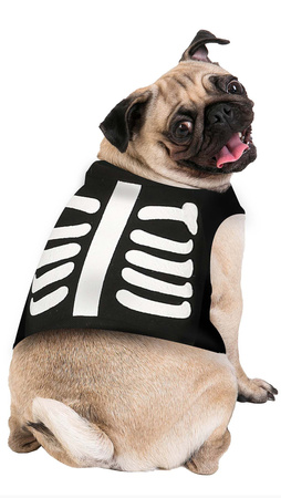 STRÓJ DLA PSA SZKIELET SIZE S