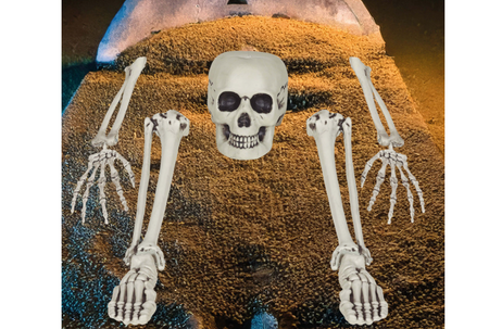 ZESTAW KOŚCI SZKIELETA 5 EL. 