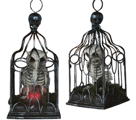 SOWA SZKIELET W KLATCE HALLOWEEN