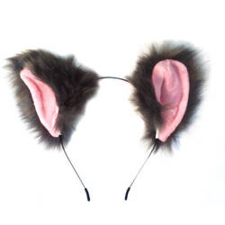 USZY WILKA NA OPASCE