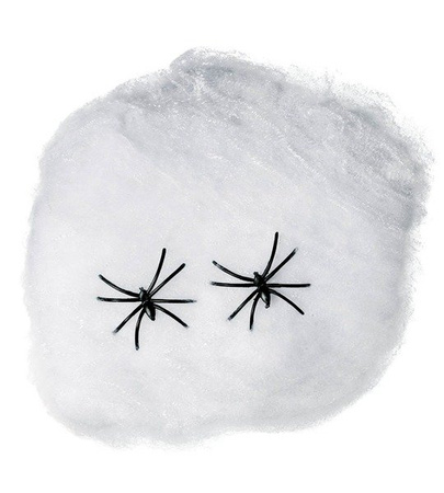 SIEĆ PAJĘCZA Z PAJĄKAMI 40G