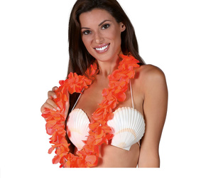 KWIATY HAWAJSKIE POMARAŃCZOWE