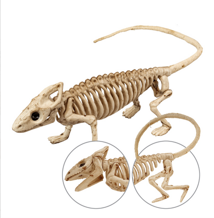 SZKIELET IGUANY 43 CM