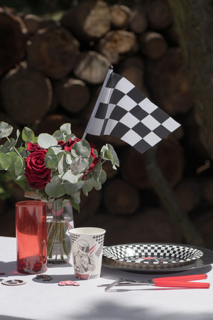 SERWETKI PAPIEROWE FORMUŁA 1 33 CM 20 SZT