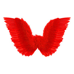 SKRZYDŁA CZERWONE